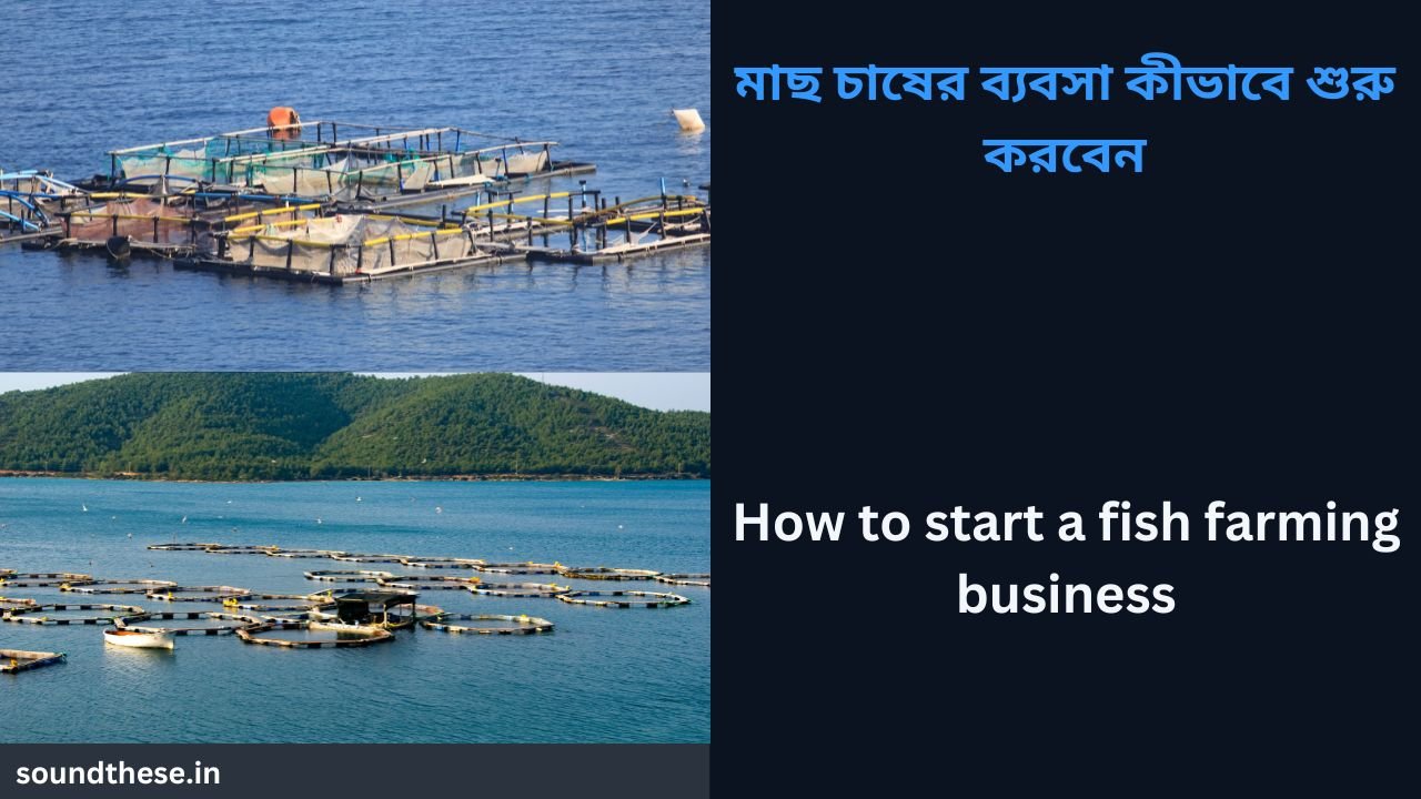 How to start a fish farming business