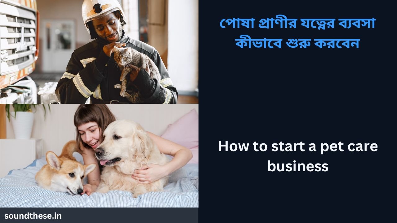How to start a pet care business